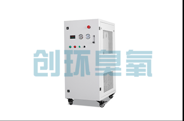 三亚工厂化养鲈必看:2026年臭氧发生器替代传统消毒的最新方案