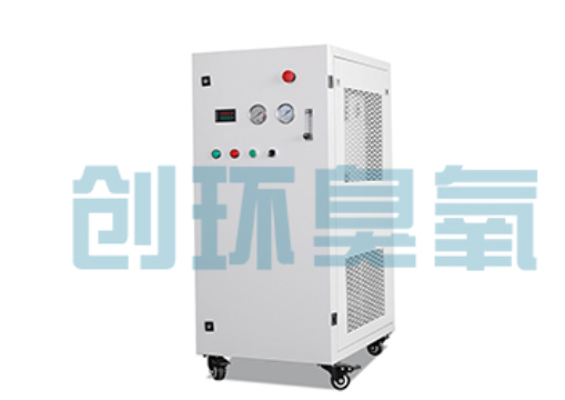 三亚石斑鱼养殖水质调控完整指南：臭氧发生器配置与操作步骤