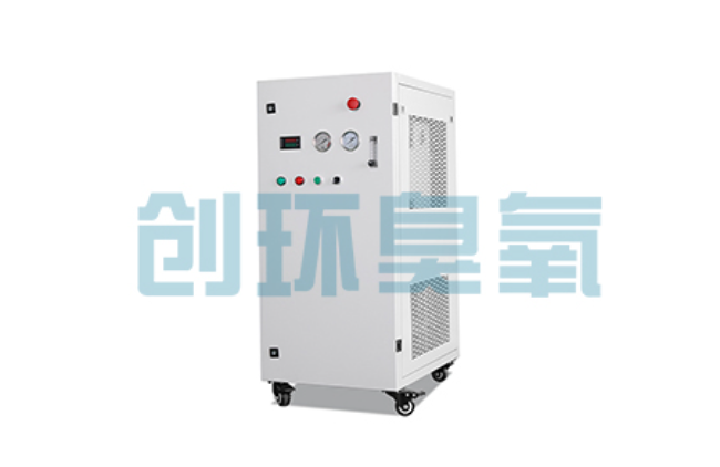 三亚比传统换水更高效？臭氧发生器在石斑鱼养殖中的水质净化原理解析